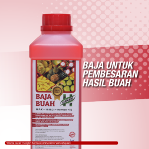 Baja Buah - 1 Botol