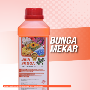 Baja Bunga - 1 Botol