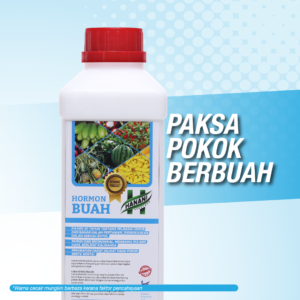 Hormon Buah - 1 Botol