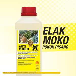 Anti Moko